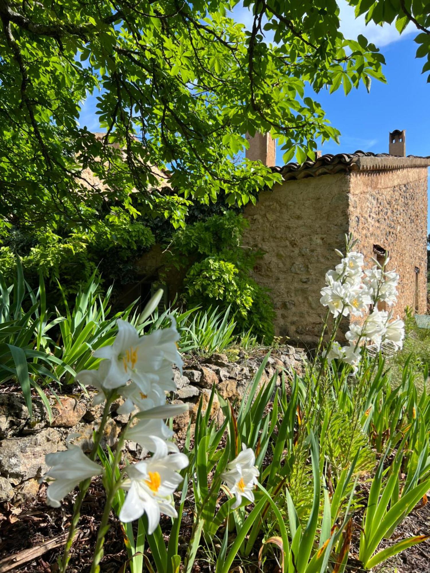 Charmant Appartement Independant Au Sein D'Un Mas Provencal 阿尔卑斯 外观 照片